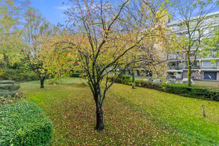 Foto 22 van Boerhaavelaan 211