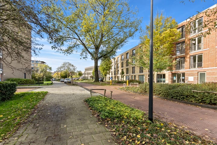 Foto 33 van Boerhaavelaan 211