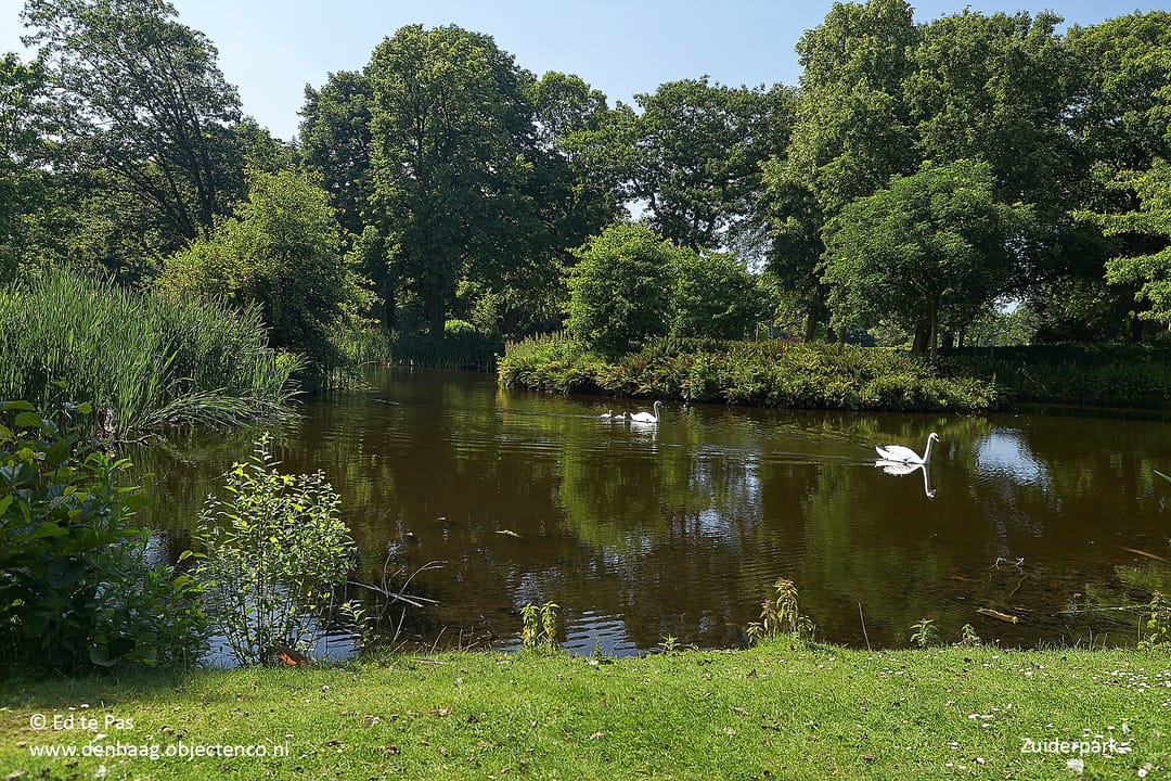 Foto 32 van Velpsestraat 104-C