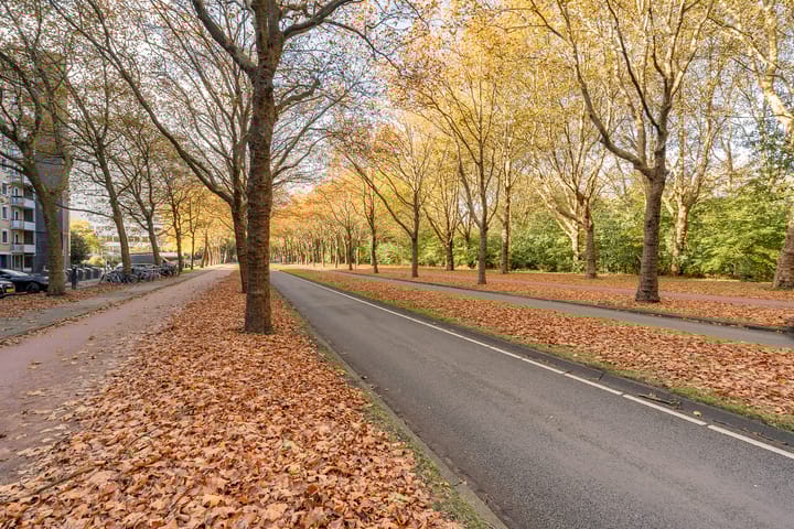 Photo 34 of Van Nijenrodeweg 573