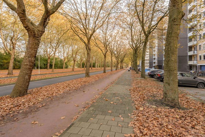 Photo 36 of Van Nijenrodeweg 573
