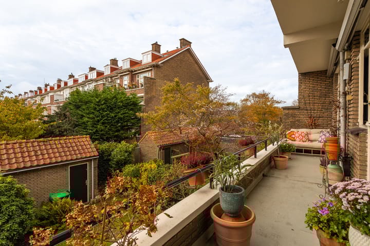 Foto 14 van Arabislaan 92