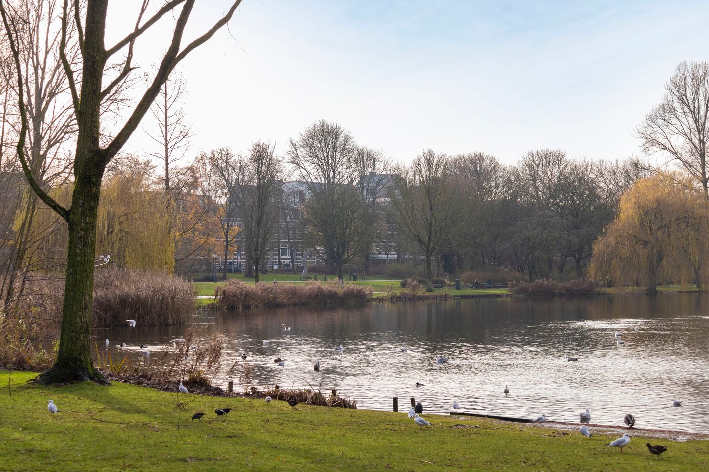 Photo 29 of Tweede Oosterparkstraat 154-E