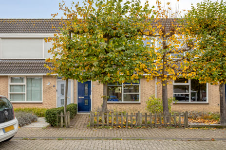 undefined main image