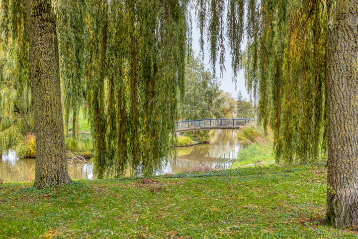 Foto 31 van Megenstraat 53