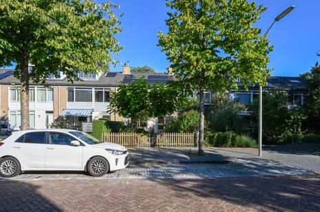 undefined main image