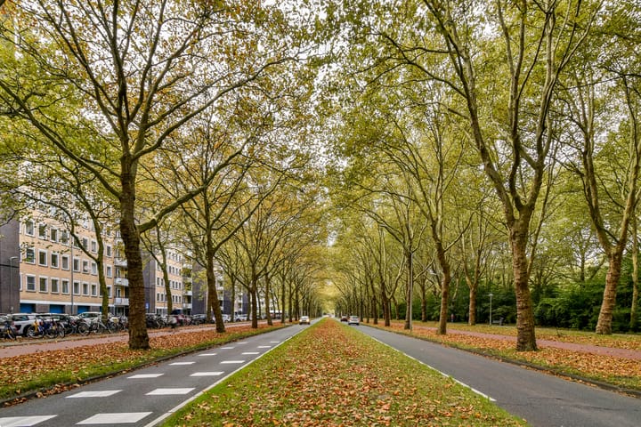 Foto 25 van Van Nijenrodeweg 473