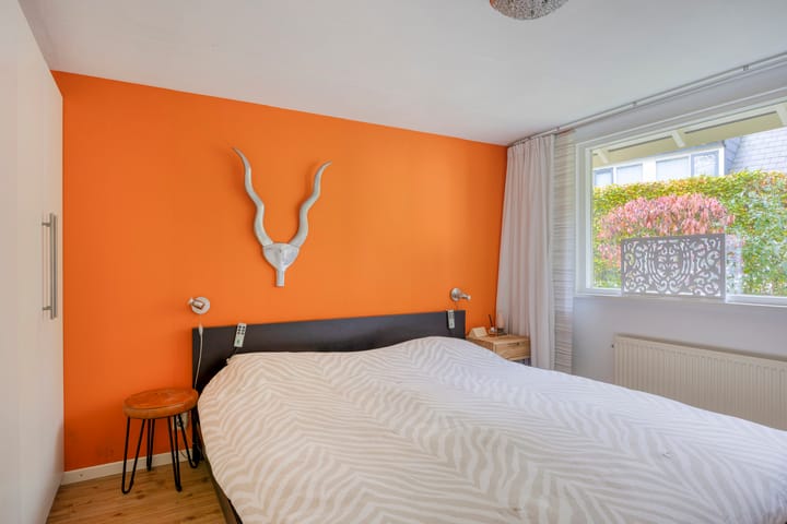 Photo 9 of Hyacinth 94