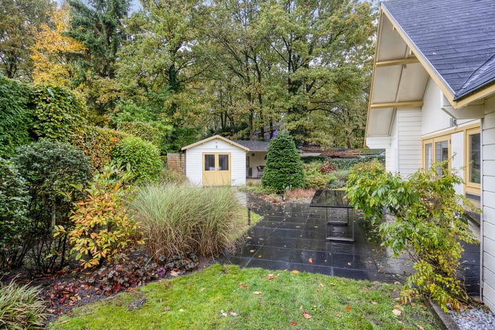 Photo 19 of Hyacinth 94