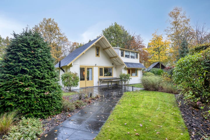 Photo 20 of Hyacinth 94