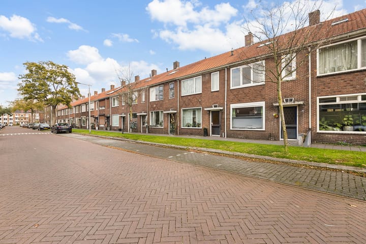 Foto 41 van Ranonkelstraat 41