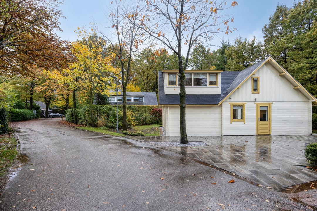 Foto 23 van Hyacinth 94