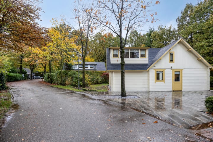 Photo 23 of Hyacinth 94