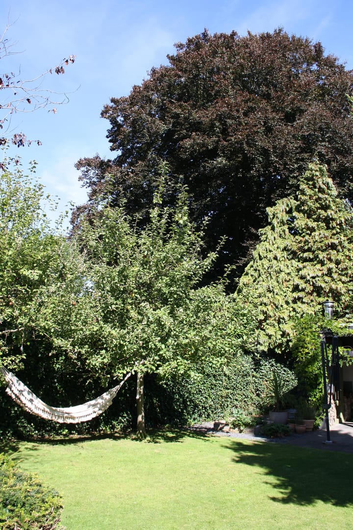 Foto 16 van Heideveldweg 29