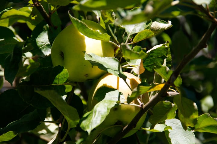 Foto 15 van Heideveldweg 29