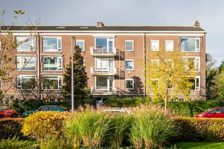 Foto 28 van Plesmanlaan 60-2