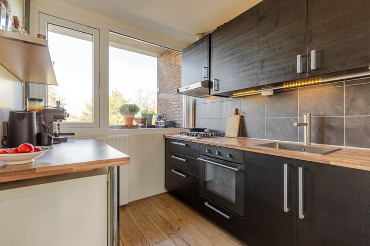 Foto 9 van Plesmanlaan 60-2