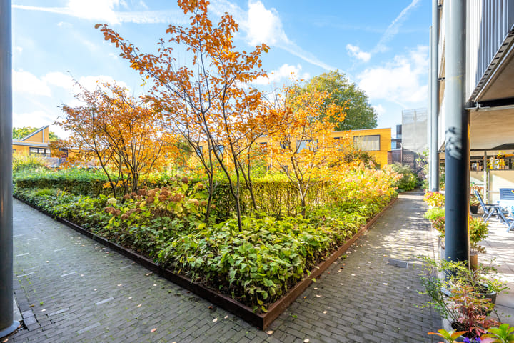 Foto 20 van Merelstraat 60