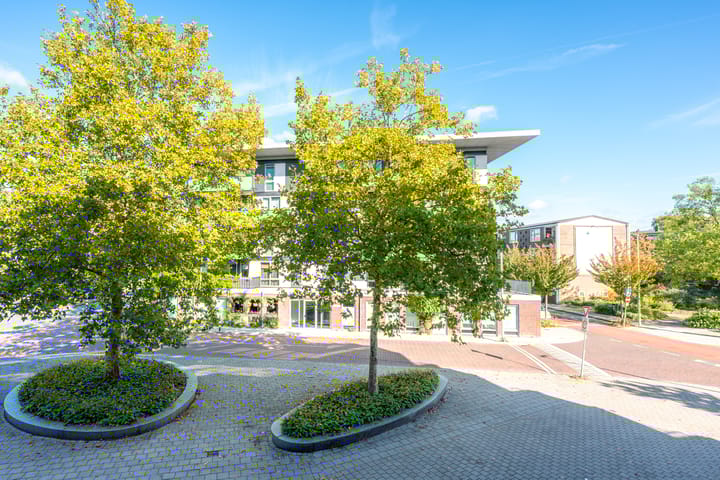 Foto 22 van Merelstraat 60