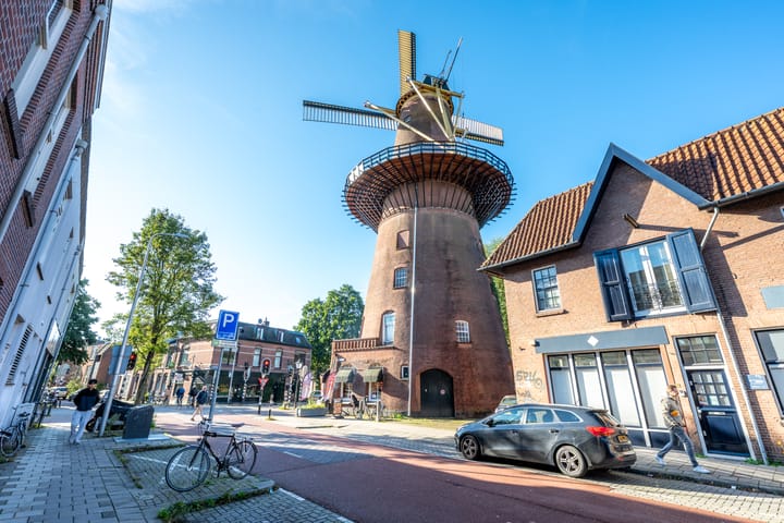 Foto 30 van Merelstraat 60