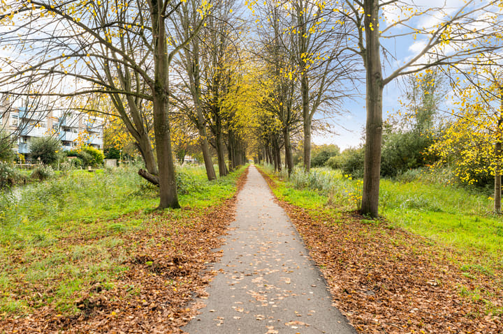 Foto 34 van Midscheeps 112