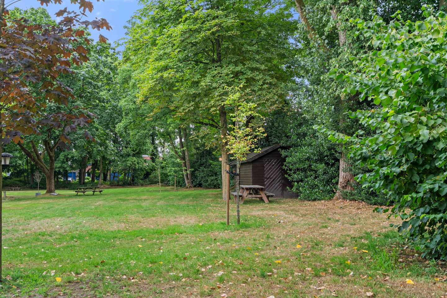 Foto 29 van Edeseweg 94-1