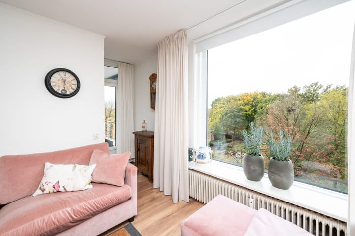 Photo 11 of Henri Dunantlaan 343