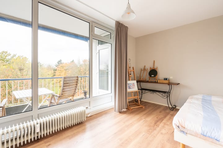 Photo 12 of Henri Dunantlaan 343