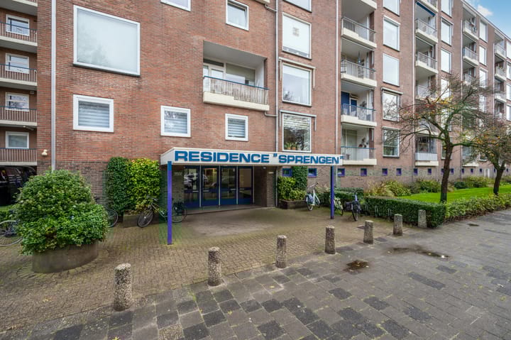 Photo 25 of Henri Dunantlaan 343