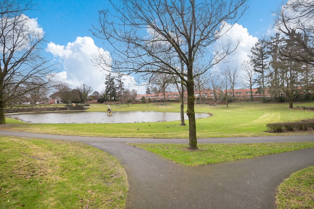 Foto 27 van Henri Dunantlaan 343