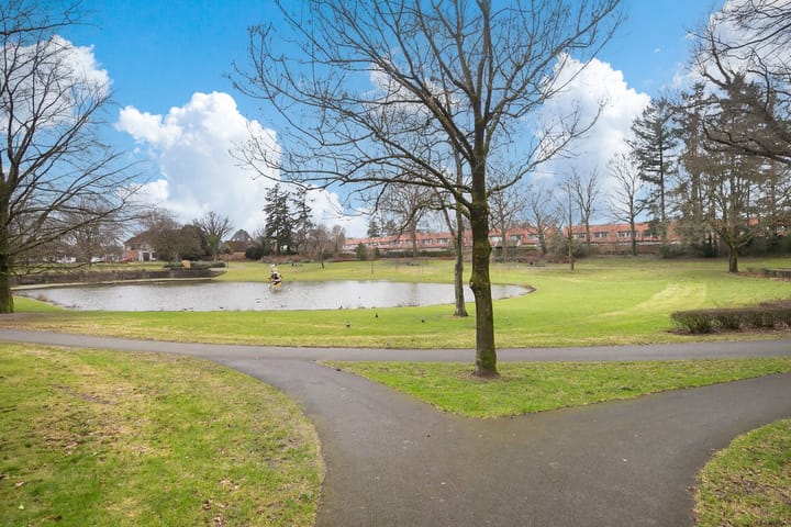 Photo 27 of Henri Dunantlaan 343