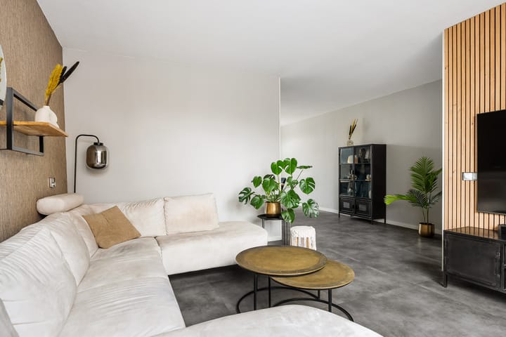 Photo 6 of Maagdepalm 45