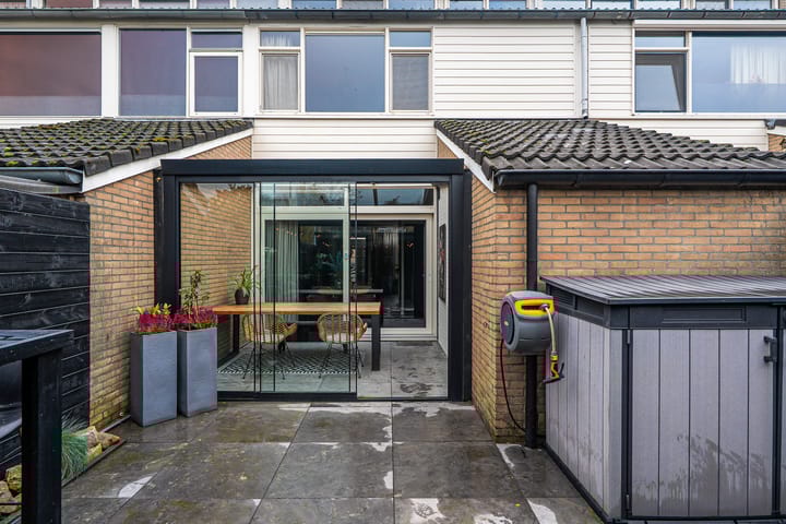 Photo 14 of Maagdepalm 45