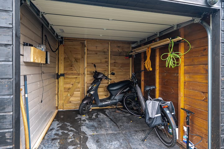 Photo 19 of Maagdepalm 45