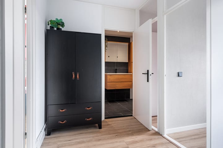 Photo 31 of Maagdepalm 45