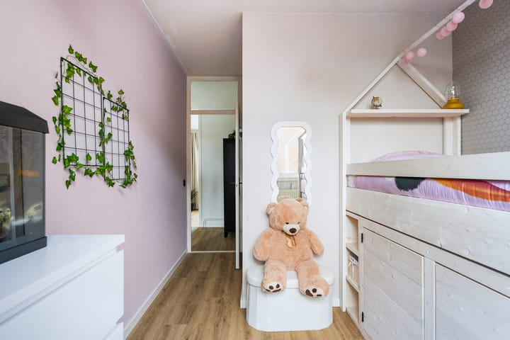 Photo 35 of Maagdepalm 45