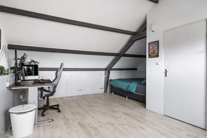 Photo 38 of Maagdepalm 45