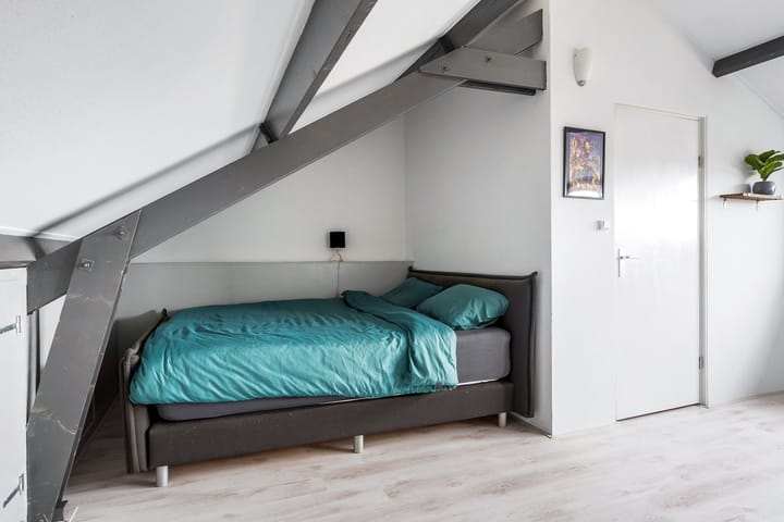 Photo 39 of Maagdepalm 45