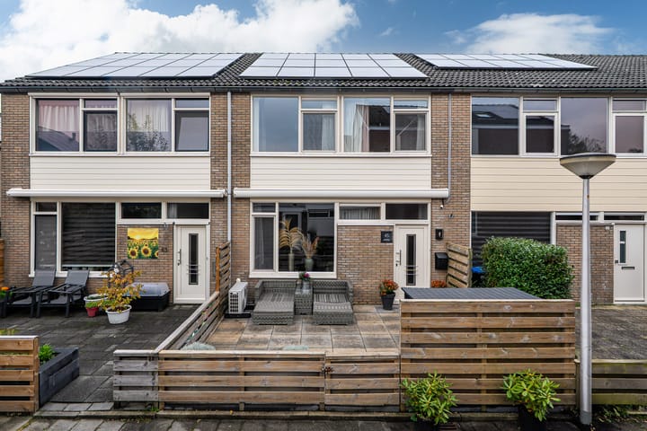 Photo 42 of Maagdepalm 45