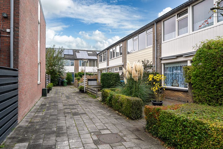 Photo 43 of Maagdepalm 45