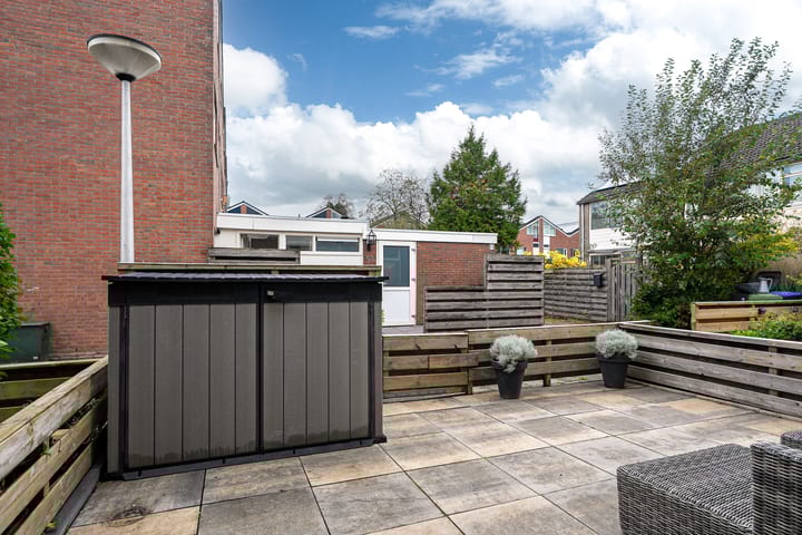 Photo 44 of Maagdepalm 45