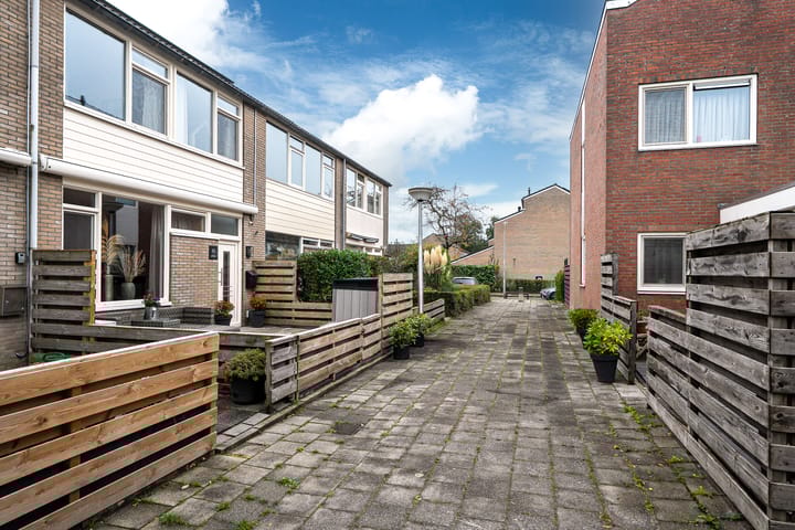 Photo 45 of Maagdepalm 45