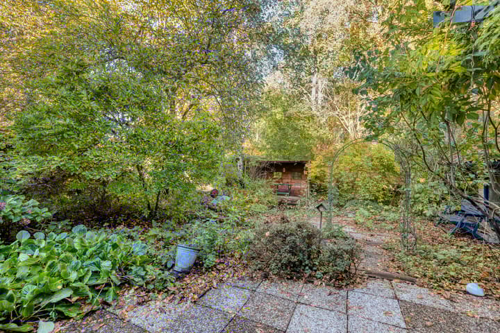 Foto 40 van Amelterhout 61