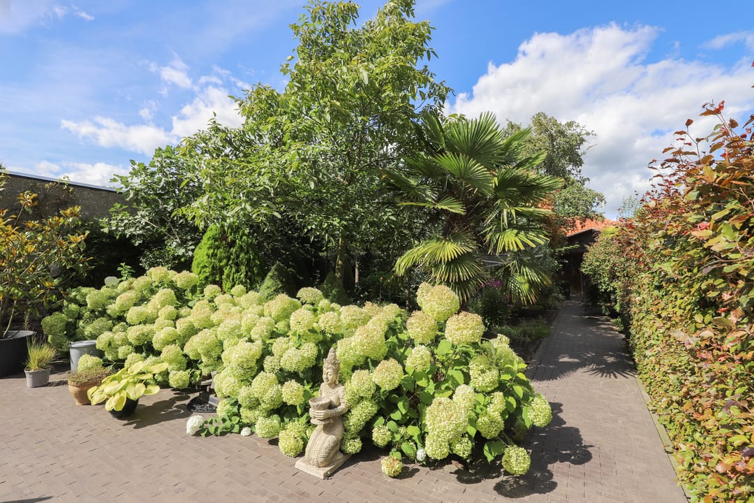 Photo 41 of Berghemseweg 140