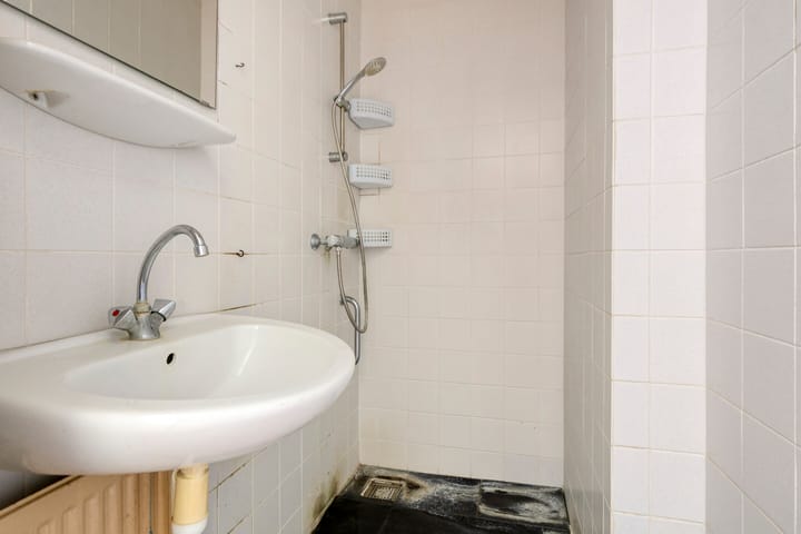 Photo 19 of Molepaed 35