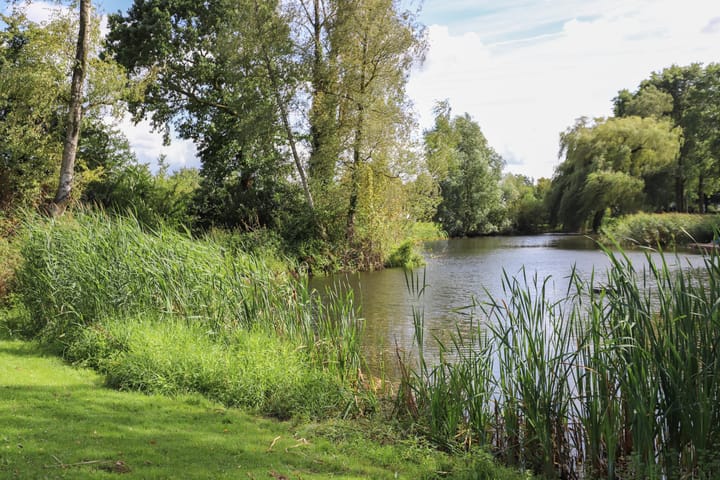 Foto 60 van Berghemseweg 140