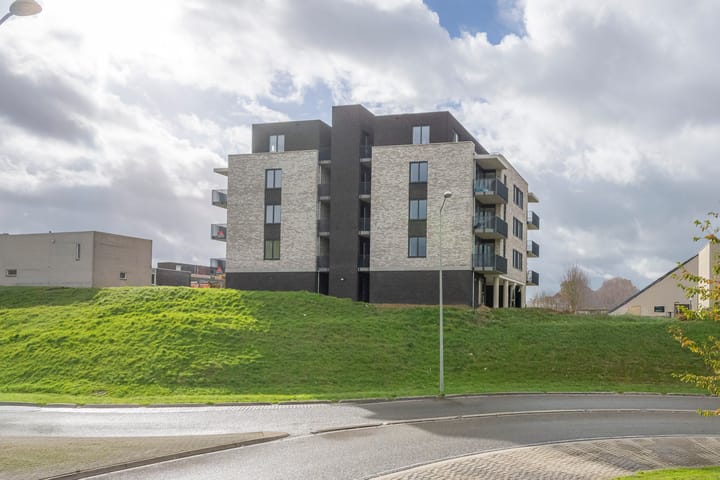 Photo 22 of Vossepark 35