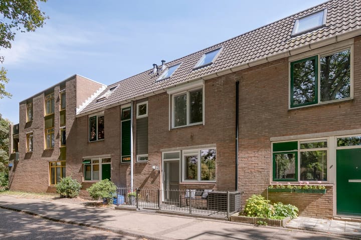 Foto 4 van Gemshoorn 4