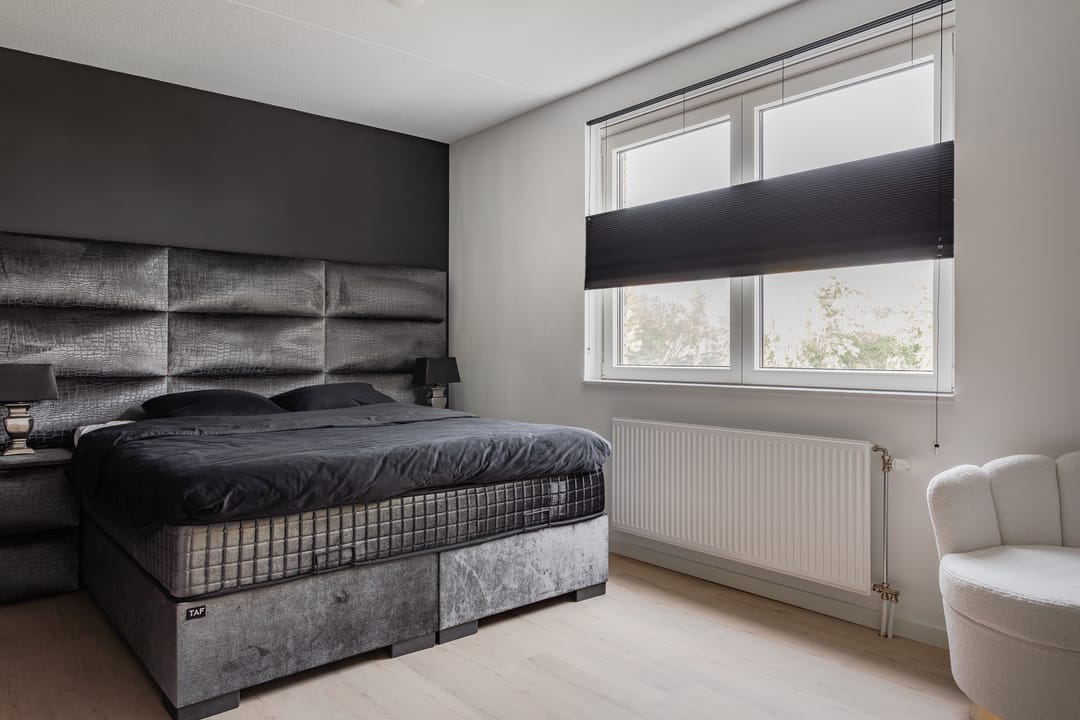 Photo 11 of Zeewolf 29