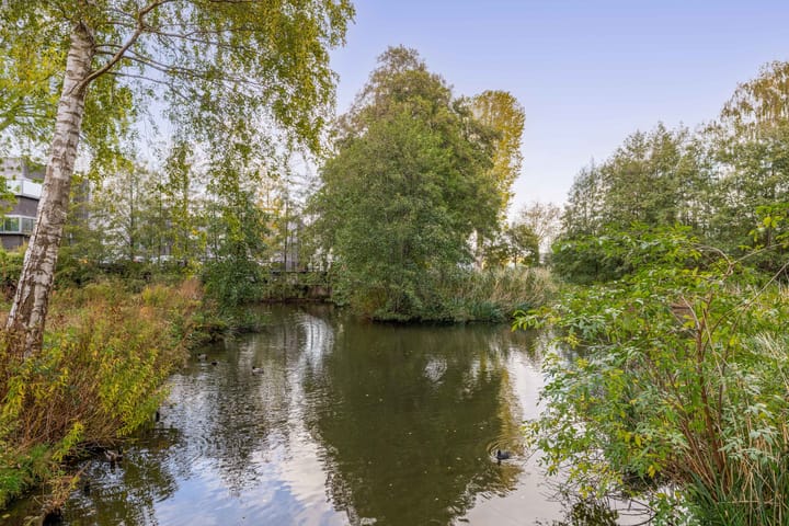 Photo 5 of Godijn van Dormaalstraat 94